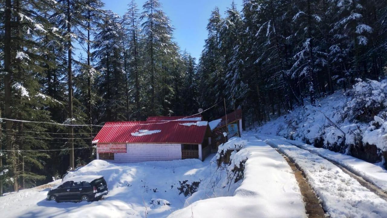 Matri Pitri Cottage Matiana Εξωτερικό φωτογραφία